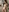 Porncorn's photo