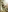 Horny content for friends / voor vrienden /folowers
