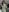 brithany_bridge's photo