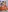 FULL_TENTATION_'s photo