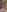 CheekyChels's photo