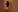adahara19's photo