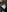 Experimentalists's photo