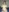 Mistress_Niky_'s photo