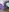 Diva_kmcc's photo
