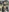 Angels1-2-3-4-5's photo