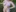 Nude Gardening