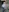 missAngellina's photo
