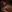 Tweetyke's photo