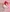 Rias Gremory sexy