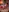 YasminaMoon's photo