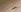 KylieVee's photo