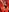 Liittledolly's photo