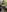 VibrantMultiracialCouple's photo