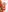 Cami_Sweet99's photo