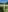 Lily_Young's photo