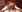 Nikatsu's photo