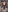 mariapaulina_1's photo