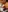 Magaharper10's photo