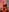 fuckarea's photo