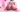 BellaReyXO's photo