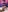 MysticCleo's photo