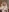 mechloe's photo