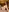 Viola_Beck's photo