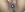 malak2015's photo