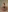 Lasly_Fox's photo