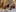 Lexie_Rose's photo