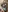 _____Panda_____'s photo