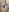 What did you want to do when you saw this?