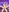 CoupleSwingerLatin's photo