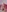 Evelynn's photo