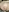 InternetionalCouple's photo