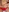 Red Panties & Bare Breasts