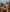 StreetSquirt's photo