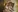 Heydoraa_'s photo