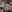 CocoNo1-'s photo