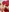 LOREN_SLIM's photo