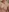 Second Stream Photoshoot✨️