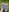 LadyTatiana_Annabelle's photo
