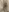 maskedprincessx's photo
