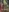 sweetsirenn's photo