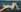 Abendshooting