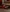 Edenne's photo