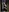 -CindyLou's photo