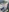 ItsBunniBabe's photo
