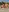 Samira-Summer's photo